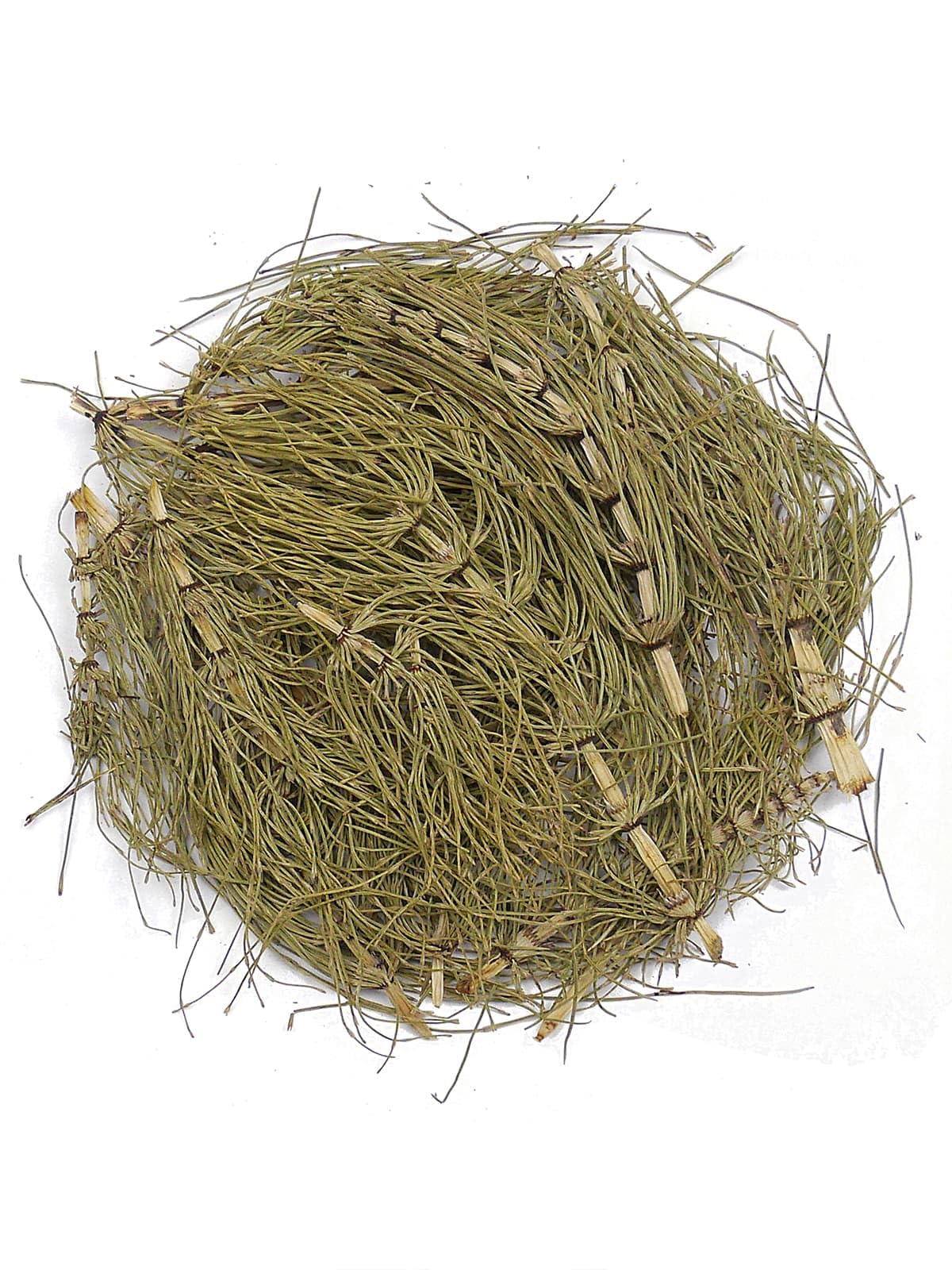 At Kuyruğu (kırkkilit Otu) 50 Gr