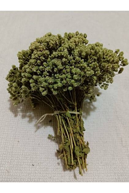 Kekik (Demet)